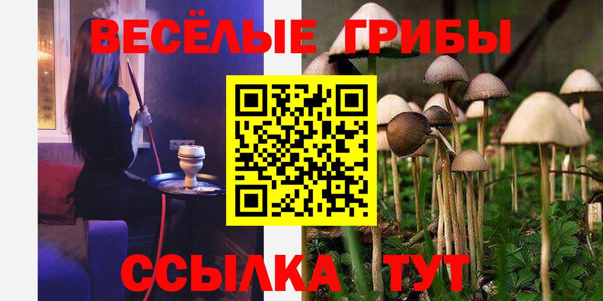 Псилоцибиновые грибы Psilocybine cubensis Добрянка